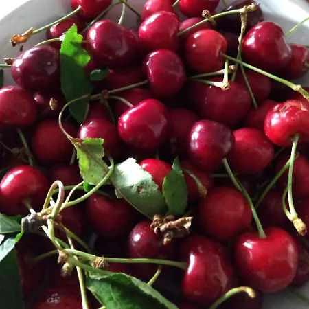 Entre Amigos Хостел