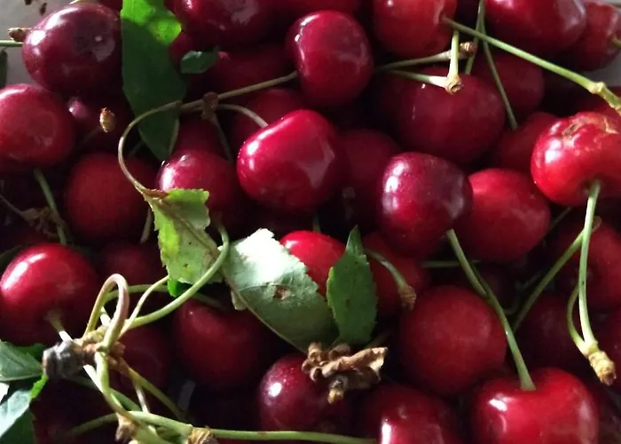 Entre Amigos 호스텔