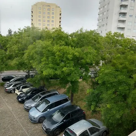 Entre Amigos